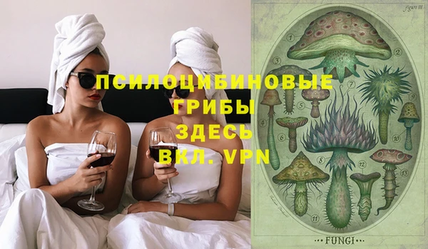 ECSTASY Алексин