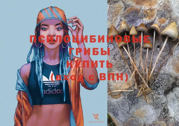 ECSTASY Алексин
